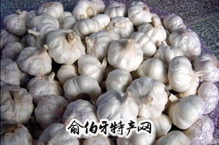 灵丘大蒜