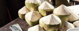 如何选购优质椰子？椰子常温下能保存多久？