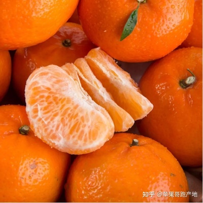 橙子什么时候上市？