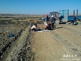 青海省三角城种羊场全面完成春播工作