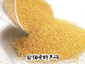 静观小米