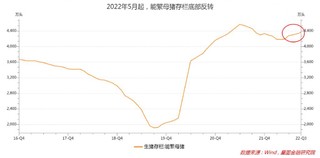 2023下半年猪肉价格怎么样？