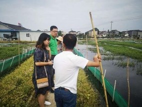 湖州：深入了解湖蟹