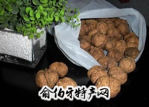 沙河核桃