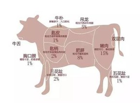 牛肉有哪些部位？