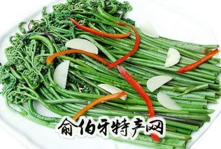 华蓥山蕨菜