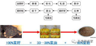 菜粕不具备长牛基础