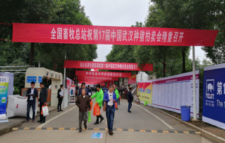 全国种猪大赛暨拍卖展销会在武汉举行