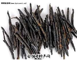 松阳苦丁茶