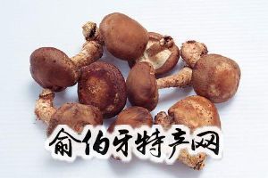 城子河香菇