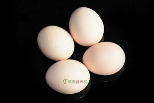 鹤山山鸡鲜蛋