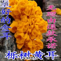 兴安盟獾油