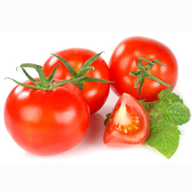 西红柿目前的市场销售价格为多少？