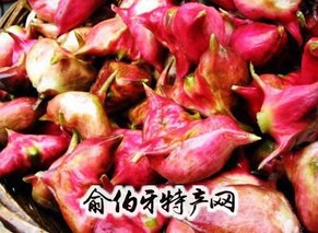 松江红菱