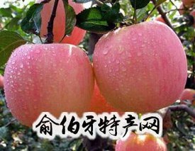 富平红富士苹果