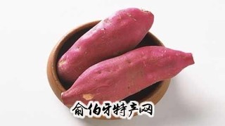 舞钢红薯