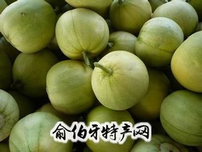 “白棒子”甜瓜