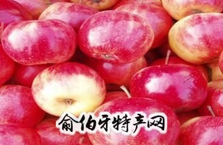 乐都沙果