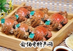 溱湖簖蟹