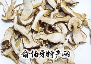 盐亭牛肝菌