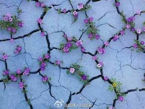 威海文登明令禁止百草枯水剂