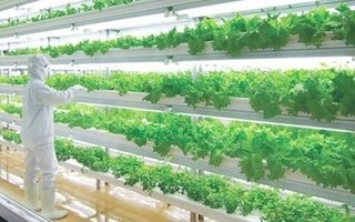 植物工厂及相关农机技术