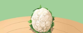 人们平时吃的花椰菜主要食用的是它的哪个部分？