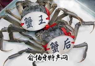 洪泽湖特色水产