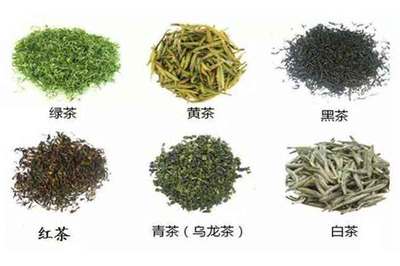 铁观音是绿茶吗？有哪些品种？