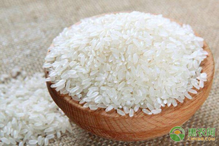 今年下半年大米会涨价吗？现在大米价格多少钱一斤？