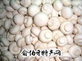 夏邑双孢菇