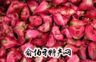 大红菱