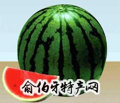 昌蜜红少籽瓜