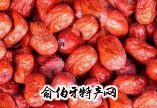 黄河滩枣