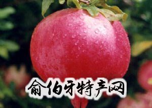 蒙阳石榴