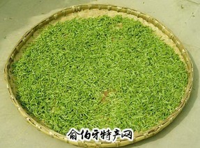 东固绿茶