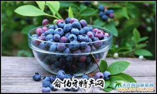 庄河蓝莓