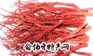 泰山紫草