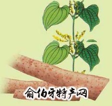 怀山药