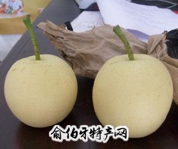 博野黄冠梨