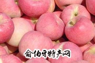 徽县红富士