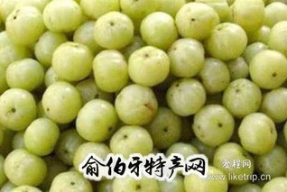 谷饶狮头油甘