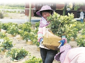 河南省鄢陵县创新扶贫模式实现“精准滴灌”