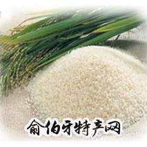 黄河五道口大米
