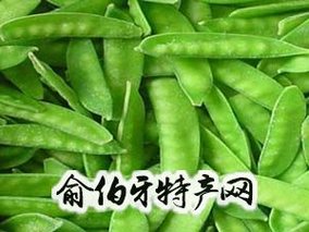 马家村荷兰豆