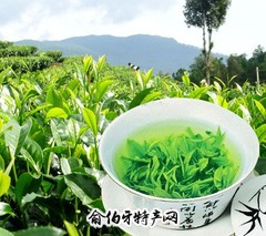 英山云雾茶