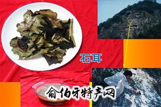 庐山“三石”