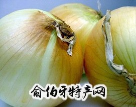 荸荠扁洋葱