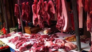 山东猪肉价格多少钱一斤？