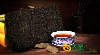 陕西墨君茯茶亮相茶业奥斯卡